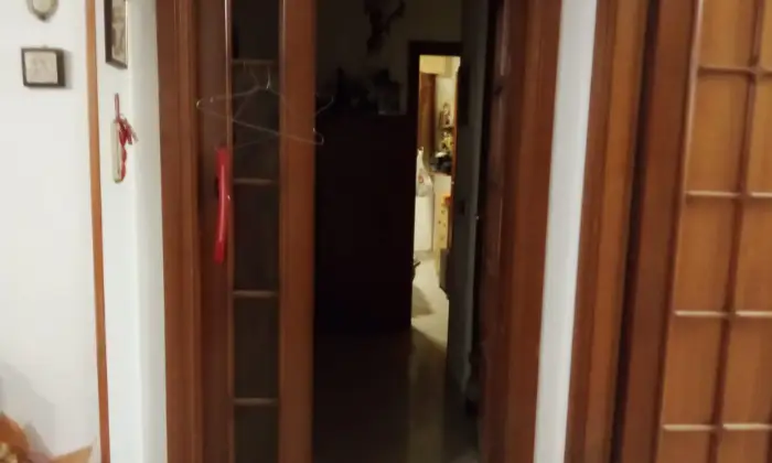 Rexer-Termoli-Appartamento-in-Via-degli-Olivi-Termoli-Altro