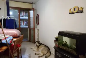 Rexer-Termoli-Appartamento-in-Via-degli-Olivi-Termoli-Altro