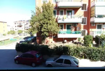 Rexer-Termoli-Appartamento-in-Via-degli-Olivi-Termoli-Altro
