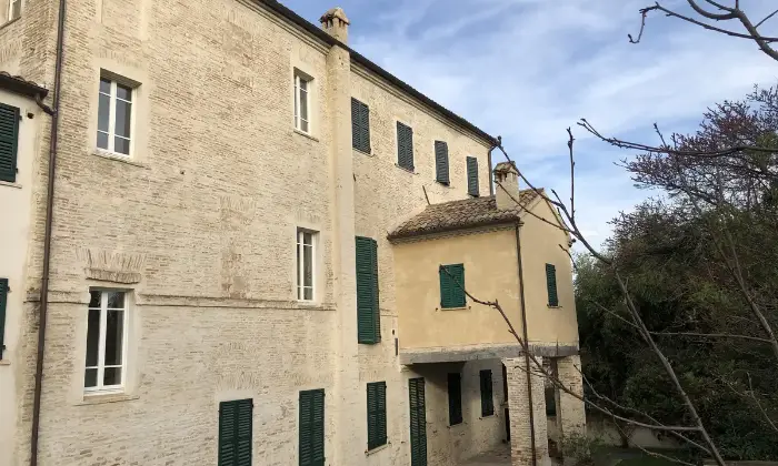 Rexer-Monte-San-Vito-Vendesi-appartamento-a-Monte-San-Vito-Ancona-Altro