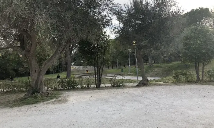 Rexer-Monte-San-Vito-Vendesi-appartamento-a-Monte-San-Vito-Ancona-Altro