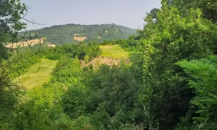 Rexer-Monzuno-Villetta-in-vendita-a-Monzuno-BO-Altro