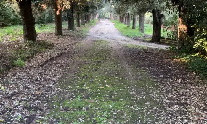 Rexer-Montemarciano-Porzione-di-villa-storica-bifamiliare-Terrazzo