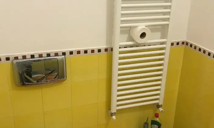Rexer-Cogorno-VENDESI-APPARTAMENTO-RISTRUTTURATO-PIANO-TERRA-IN-VILLA-CON-PARCO-Altro