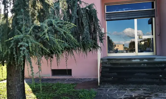 Rexer-San-Giorgio-Piacentino-Negozio-in-vendita-a-San-Giorgio-Piacentino-Altro