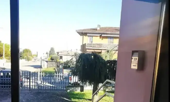 Rexer-San-Giorgio-Piacentino-Negozio-in-vendita-a-San-Giorgio-Piacentino-Altro