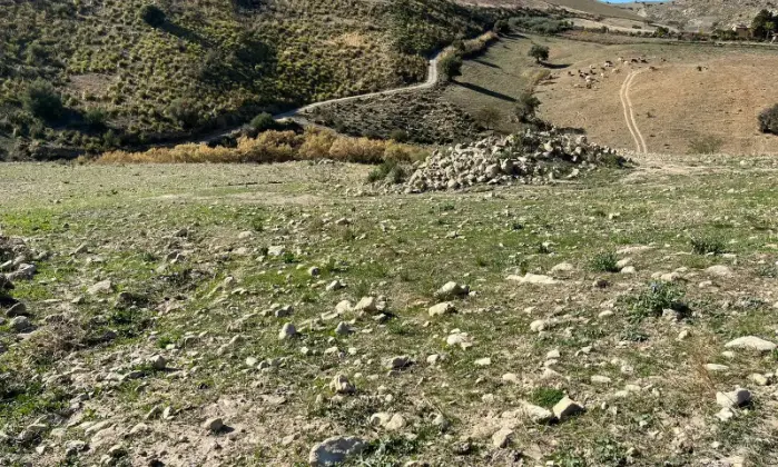 Rexer-Catenanuova-Casale-con-Terreno-a-Catenanuova-Altro
