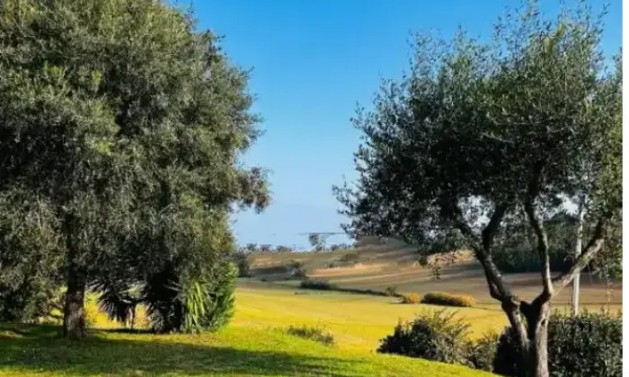 Rexer-Montecosaro-Villa-in-vendita-in-via-San-SavinoCivitanova-MarcheMontecosaro-Altro