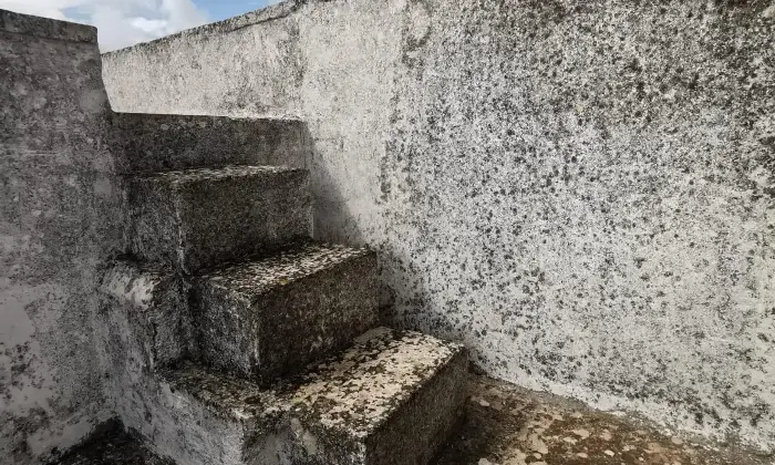 Rexer-San-Cassiano-Casa-storica-indipendente-a-San-Cassiano-LE-Altro