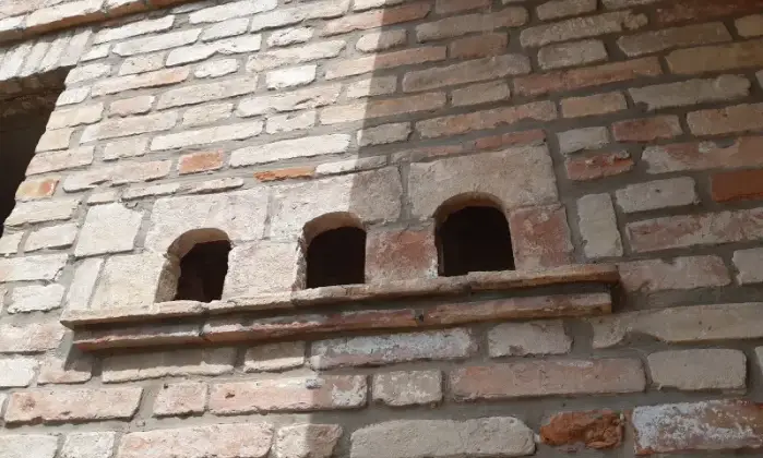 Rexer-Tortoreto-Rustico-via-del-Vecchio-Focolare-Terrabianca-Tortoreto-Cantina