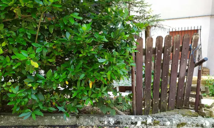 Rexer-Caramanico-Terme-Appartamento-in-vendita-a-Caramanico-Terme-PE-Giardino