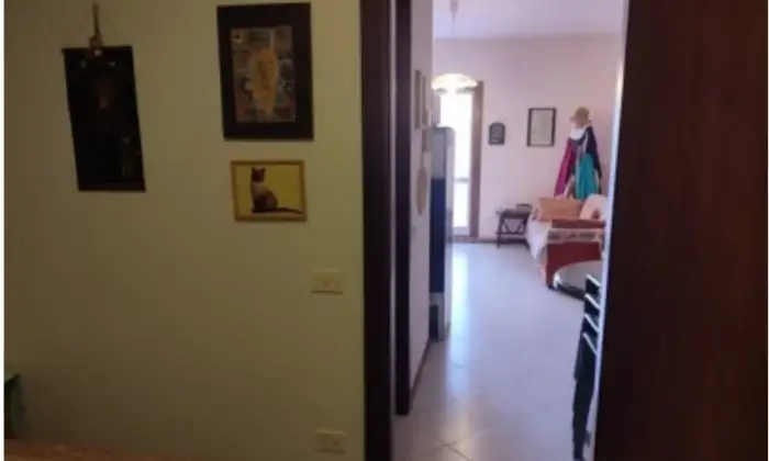 Rexer-Porto-Azzurro-Accogliente-Bilocale-a-Porto-Azzurro-Altro