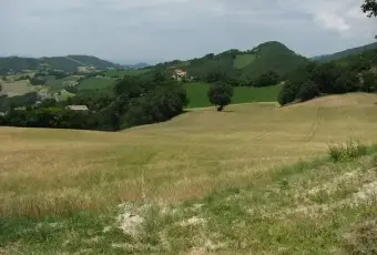Rexer-Cagli-Rustico-e-tereni-a-Monti-Scatto-a-Cagli-PU-Altro