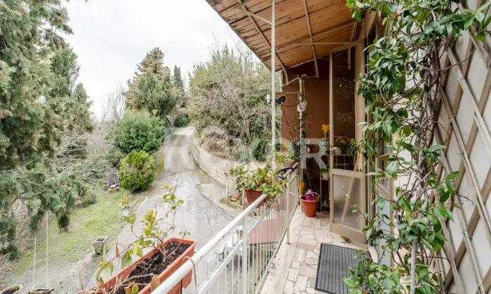 Rexer-MONTELPARO-Ampia-casa-con-corte-esclusiva-e-grande-potenziale-Altro