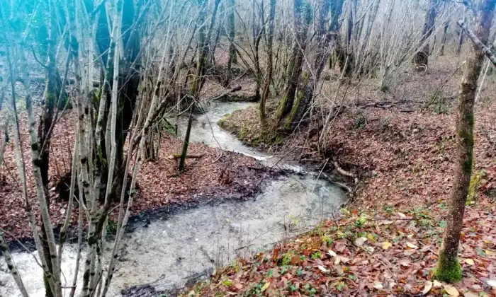 Rexer-Rocca-Sinibalda-Complesso-di-casali-con-ettari-di-terreno-Altro