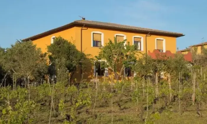 Rexer-Monti-Vendesi-casa-con-ampio-terreno-circostante-a-Monti-SS-Altro