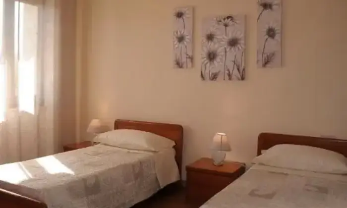 Rexer-Monti-Vendesi-casa-con-ampio-terreno-circostante-a-Monti-SS-Altro