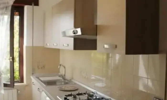 Rexer-Monti-Vendesi-casa-con-ampio-terreno-circostante-a-Monti-SS-Altro