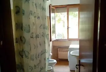 Rexer-Urbino-Quadrilocale-in-discrete-condizioni-Altro