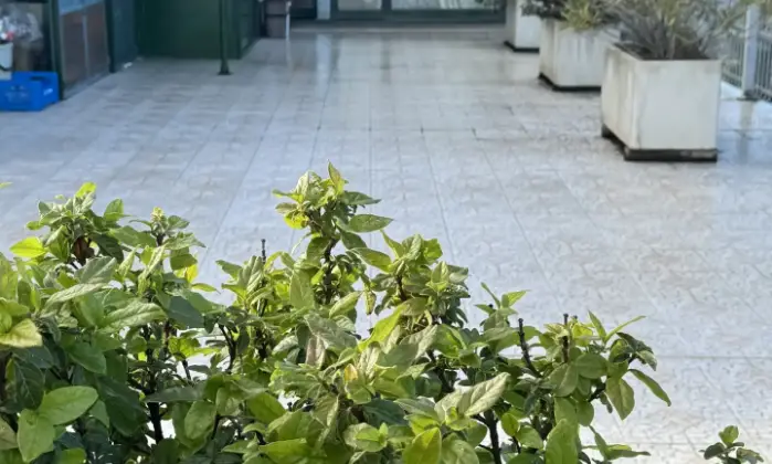 Rexer-Morro-dAlba-casa-singola-Terrazzo