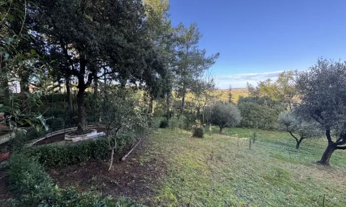 Rexer-Morro-dAlba-casa-singola-Giardino