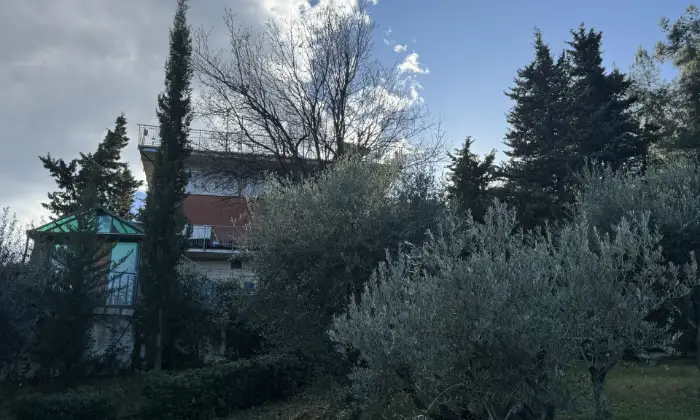 Rexer-Morro-dAlba-casa-singola-Giardino