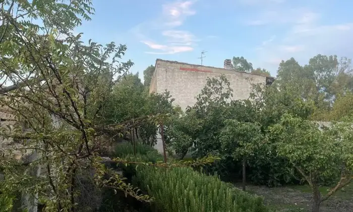 Rexer-Selegas-Casa-campidanese-Giardino