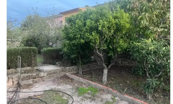 Rexer-Selegas-Casa-campidanese-Giardino