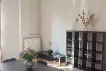 Rexer-Andria-Incantevole-bilocale-ristrutturato-in-centro-Altro