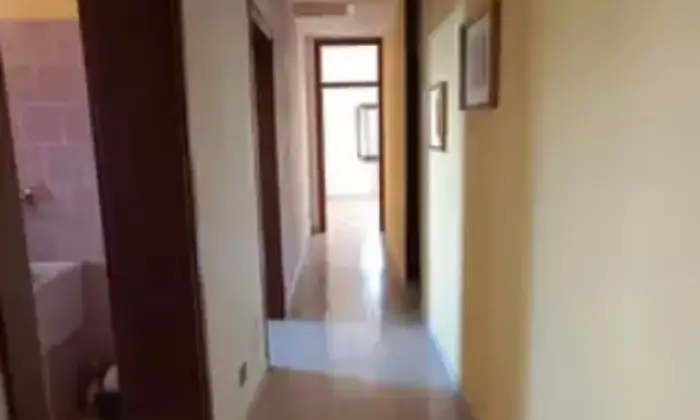 Rexer-Villamarzana-RO-Vendesi-Immobile-Polifunzionale-a-Villamarzana-RO-Altro