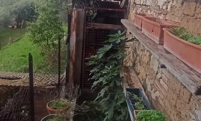 Rexer-Narni-CASA-TERRATETTO-INDIPENDENTE-Schifanoia-di-Narni-TR-Terrazzo