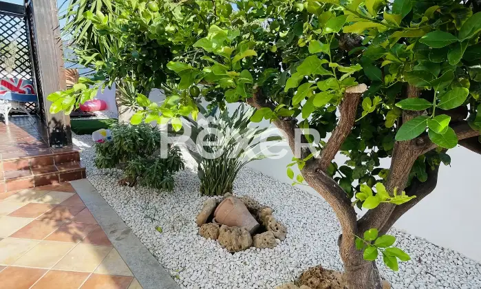 Rexer-Valderice-Villa-con-piscina-in-vendita-a-Valderice-Giardino