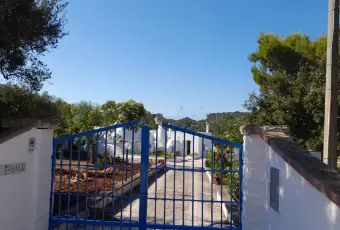Rexer-Ostuni-Villa-con-Trulli-in-Vendita-Contrada-Lorizzo-Ostuni-Altro