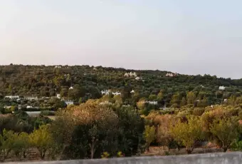 Rexer-Ostuni-Villa-con-Trulli-in-Vendita-Contrada-Lorizzo-Ostuni-Altro