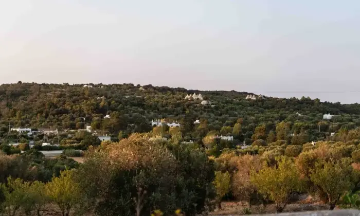 Rexer-Ostuni-Villa-con-Trulli-in-Vendita-Contrada-Lorizzo-Ostuni-Altro