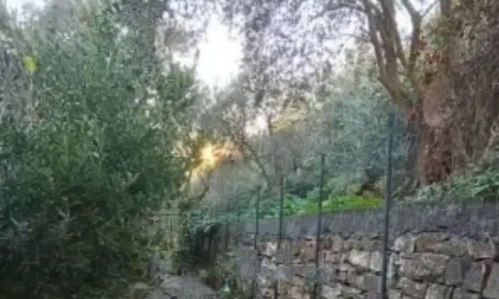 Rexer-Montegrazie-Villa-in-vendita-a-Imperia-Altro