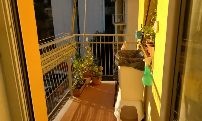 Rexer-Genova-vendo-casa-a-marassi-Altro