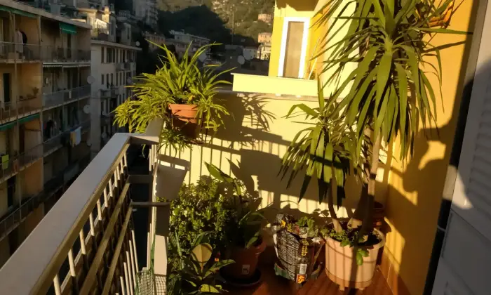 Rexer-Genova-vendo-casa-a-marassi-Terrazzo