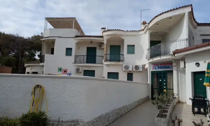 Rexer-Termoli-Attivit-ristorativa-Ingresso