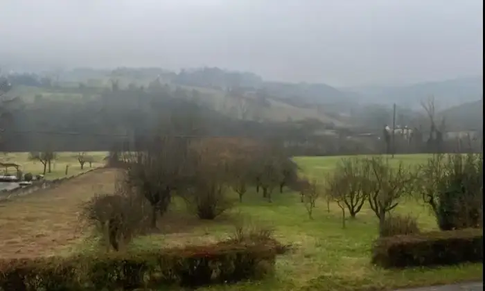 Rexer-Vernasca-Vendesi-casa-di-campagna-a-Vernasca-Altro