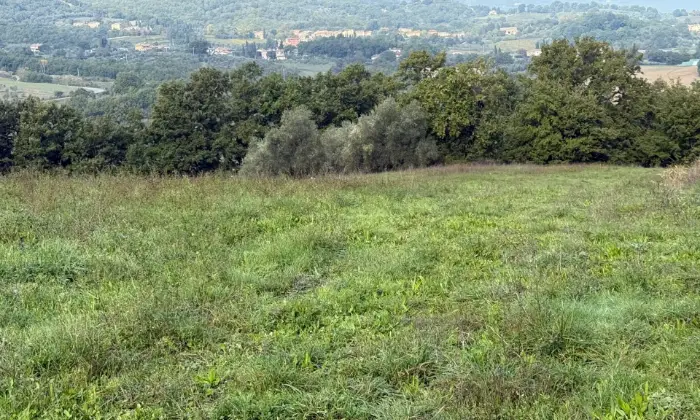 Rexer-Stabbiano-di-Sotto-Azienda-Agricola-con-Villa-in-Vendita-a-Palazzone-Localit-Stabbiano-di-Sotto-Altro