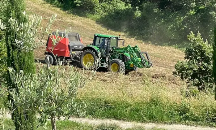 Rexer-Stabbiano-di-Sotto-Azienda-Agricola-con-Villa-in-Vendita-a-Palazzone-Localit-Stabbiano-di-Sotto-Altro
