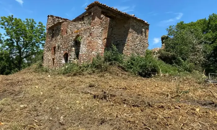 Rexer-Stabbiano-di-Sotto-Azienda-Agricola-con-Villa-in-Vendita-a-Palazzone-Localit-Stabbiano-di-Sotto-Altro