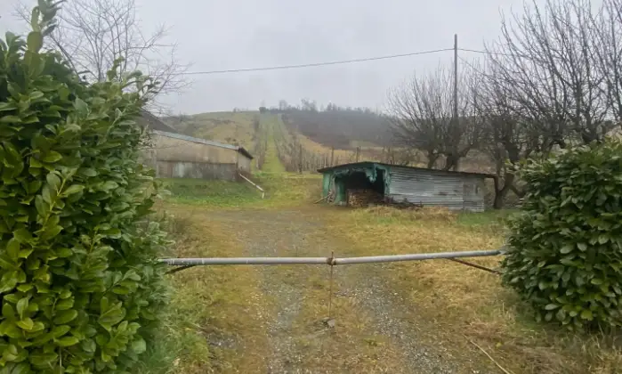 Rexer-Vernasca-Vendesi-Rustico-a-Vernasca-Altro