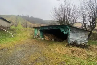 Rexer-Vernasca-Vendesi-Rustico-a-Vernasca-Altro