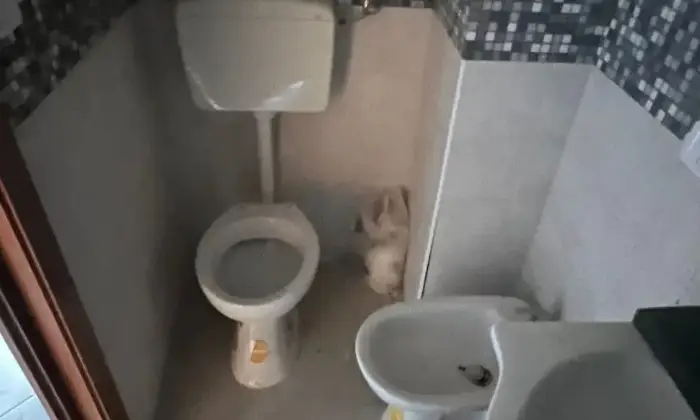 Rexer-Montecorvino-Pugliano-Deposito-accatastato-C-TOTALMENTE-DA-RISTRUTTURARE-Bagno
