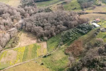 Rexer-Ceraso-Vendesi-Rustico-con-terreno-agricolo-Altro
