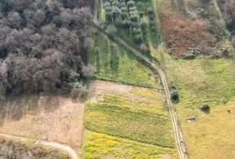 Rexer-Ceraso-Vendesi-Rustico-con-terreno-agricolo-Altro