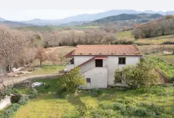 Rexer-Ceraso-Vendesi-Rustico-con-terreno-agricolo-Altro