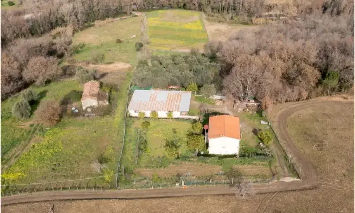 Rexer-Ceraso-Vendesi-Rustico-con-terreno-agricolo-Altro
